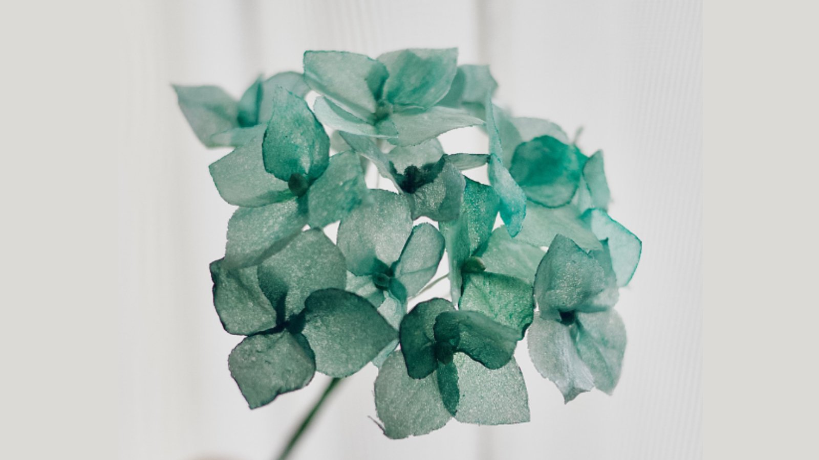 Basic Wafer Flower Class